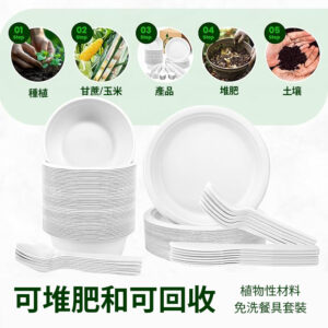 一次性盤子和碗套裝