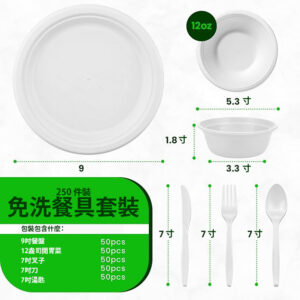 一次性盤子和碗套裝
